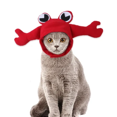 Moda inverno morbido caldo animale domestico gatto cappello per cani carino granchio rana copricapo per animali domestici prodotti di abbigliamento per animali domestici