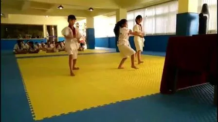 Tappetino puzzle Taekwondo Tatami EVA all'ingrosso Tappetino ad incastro da 2,5 cm Rosso Nero Blu Giallo per palestra e sport